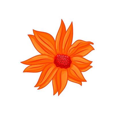 Vector floral botanical flower Illustration Ornament Orange