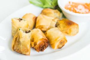 Fried spring roll photo