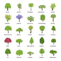 Different Types of Trees vector