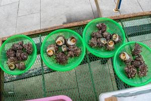 comida fresca en el mercado de pescado en saga japón foto