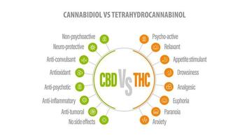 cbd vs thc, lista de diferencias con iconos. banner blanco con comparación cbd y thc. vector