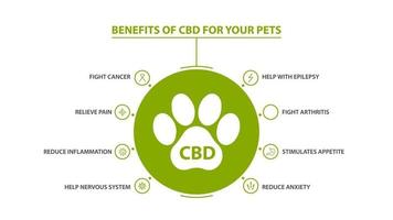 Information poster of Cannabidiol Benefits for your pets with infographic vector