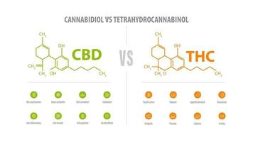 cbd vs thc, lista de diferencias con iconos y fórmulas químicas. banner blanco con comparación cbd y thc. vector