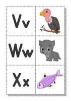 English alphabet with cartoon characters v, w, x. Flash cards. Vector set. Bright color style. Learn ABC. Lowercase and uppercase letters.