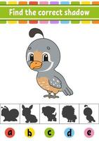 Find the correct shadow quail. Education developing worksheet. Activity page. Color game for children. Isolated vector illustration. Cartoon character.