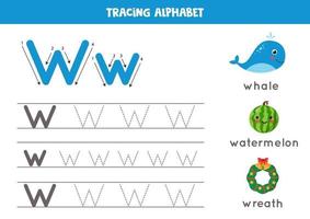 práctica de escritura a mano con letra del alfabeto. rastreando w. vector
