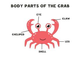 Body parts of the crab. Scheme for children. vector