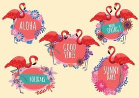 flamingo and flowers labels and text hello spring seasons vector