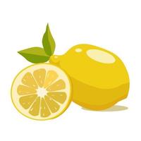 Lemon, a source of vitamin C. Dietary food. Modern vector illustration on a white background