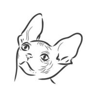 ilustración vectorial de un gato sphynx con un trazador de líneas aislado en un fondo blanco. para imprimir en ropa, papel, logotipo, icono, espacio en blanco para camisetas de diseñadores, platos, cama vector