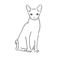 ilustración vectorial de un gato sphynx con un trazador de líneas aislado en un fondo blanco. para imprimir en ropa, papel, logotipo, icono, espacio en blanco para camisetas de diseñadores, platos, cama vector