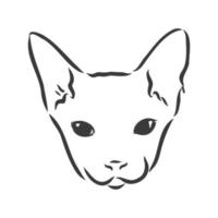 ilustración vectorial de un gato sphynx con un trazador de líneas aislado en un fondo blanco. para imprimir en ropa, papel, logotipo, icono, espacio en blanco para camisetas de diseñadores, platos, cama vector