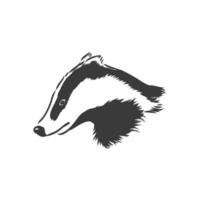 Badger sketch drawing isolated on white background. badger vector sketch on white background