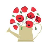 Vector illustration of bouquet of bright red poppy flowers in watering can isolated on white background