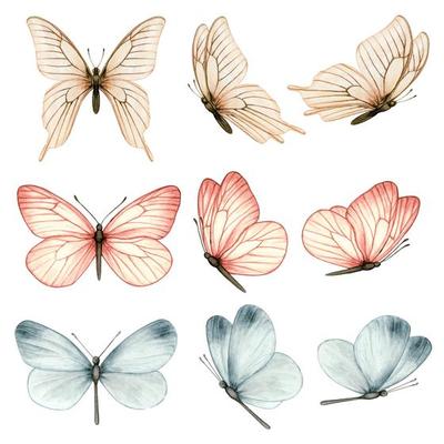 Beautiful watercolor butterfly collection in different positions