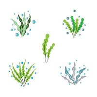 conjunto de ilustraciones de imágenes de logotipo de algas vector