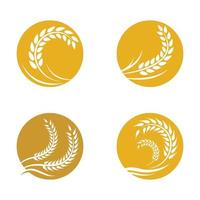 Wheat logo images vector