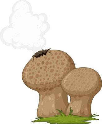 Fungus cartoon style isolated on white background