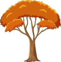 Árbol de otoño aislado sobre fondo blanco. vector