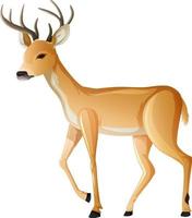 Animal cartoon character of a Deer on white background vector