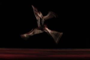 The abstract movement of the dance photo