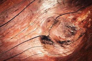 Rough wood knot photo