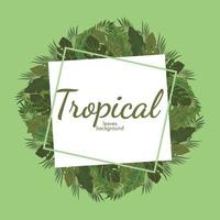 tropical leafs background green illustration vector design