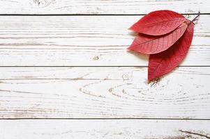 Varias hojas caídas de otoño rojo sobre un fondo de tablero de madera clara foto