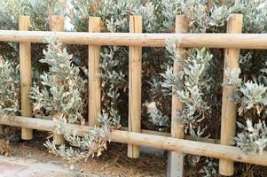 Decorative wooden fence and white green bushes