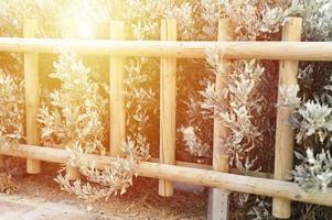 valla de madera decorativa y arbustos verdes blancos foto