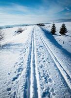 Long cross-country trail to the horizon photo