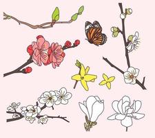 Blossoming branches and butterflies. vector