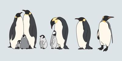 Cute penguin family illustration. vector