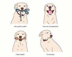 varias expresiones de golden retriever. vector