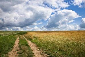 Meadow with blue sky and clouds photo