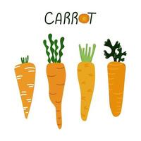 Set of hand drawn cute carrot. Flat illustration vector