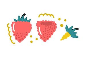 Hand drawn set of raspberry. Flat illustration. vector