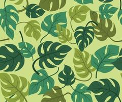 Seamless Pattern Wallpaper of Monstera Leaves for the Tropical Plant Background. vector