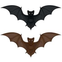 Vector design of two flying mammals, bat in two colors. All on white background.