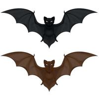 Vector design of two flying mammals, bat in two colors. All on white background.