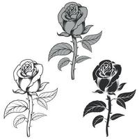 Vector design of flowers in three different styles, black and white