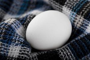 Organic egg yolk on a striped cloth photo