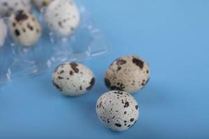 Container of quail eggs on a blue background photo
