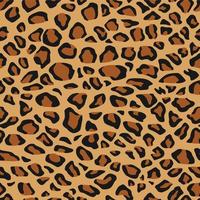 Leopard Spots Seamless Pattern Cheetah Background Animal Skins Print vector