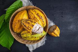 Top view of fresh cacao fruit photo