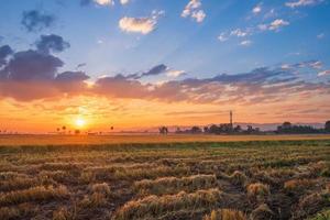 resplandor del atardecer en un campo foto