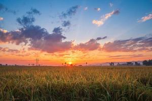 Colorful sunset over a field photo