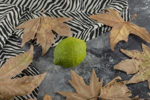 A green ripe lemon with dried leaves photo