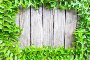 Frame of fern leaves photo