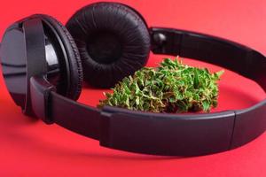 Cannabis and headphones photo